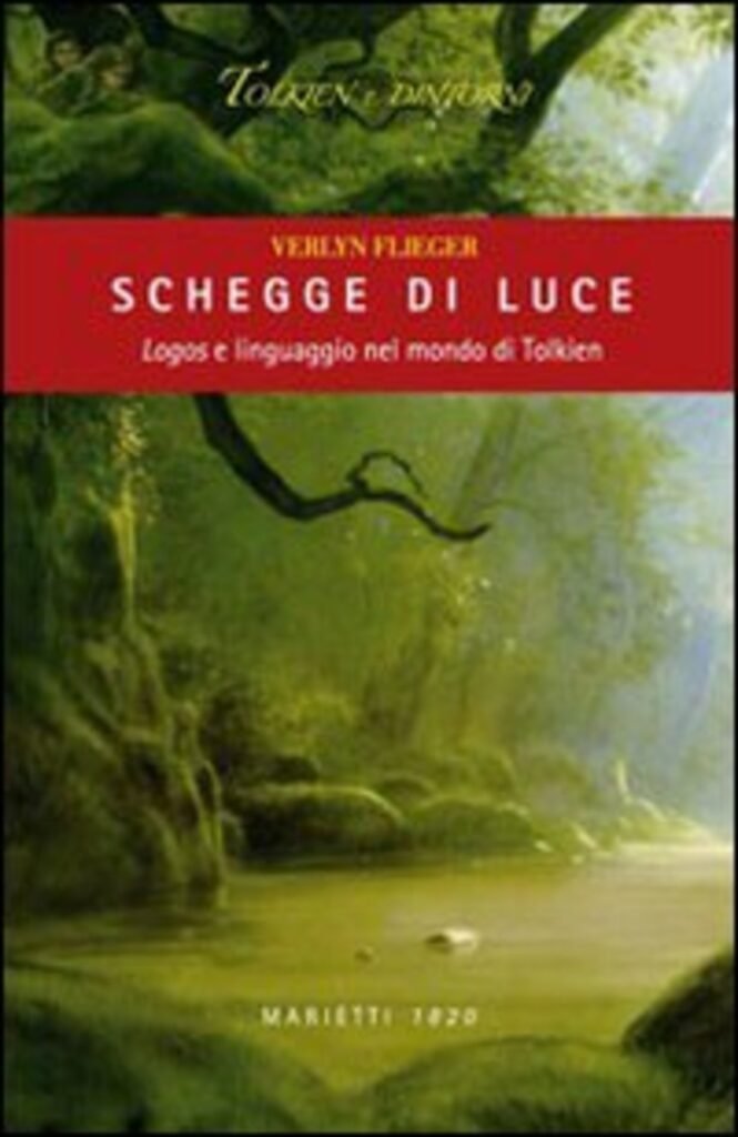 schegge di luce 2007